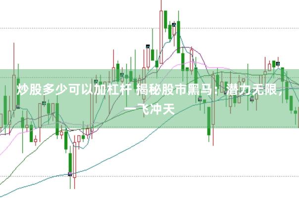 炒股多少可以加杠杆 揭秘股市黑马：潜力无限，一飞冲天