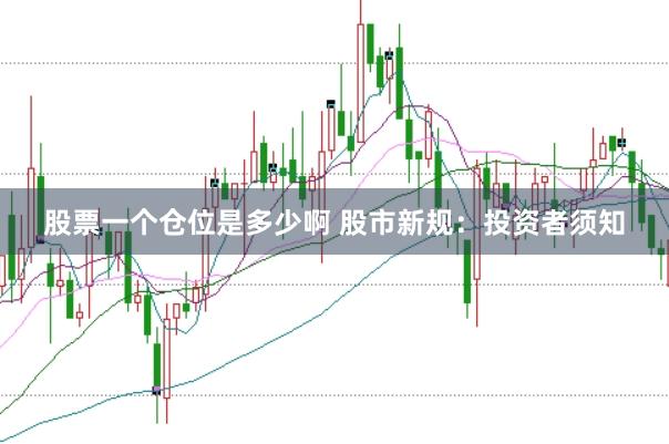 股票一个仓位是多少啊 股市新规：投资者须知