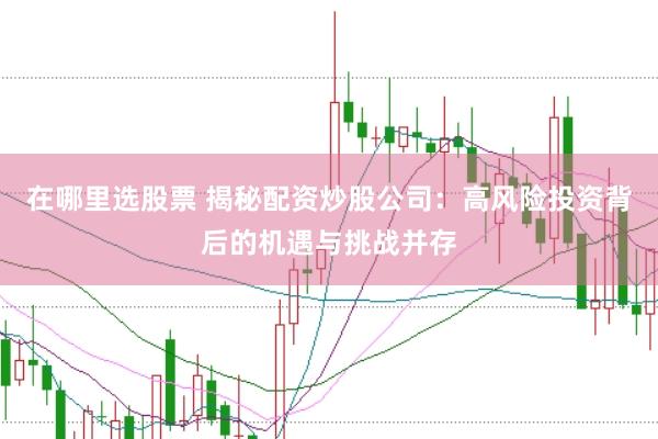 在哪里选股票 揭秘配资炒股公司：高风险投资背后的机遇与挑战并存