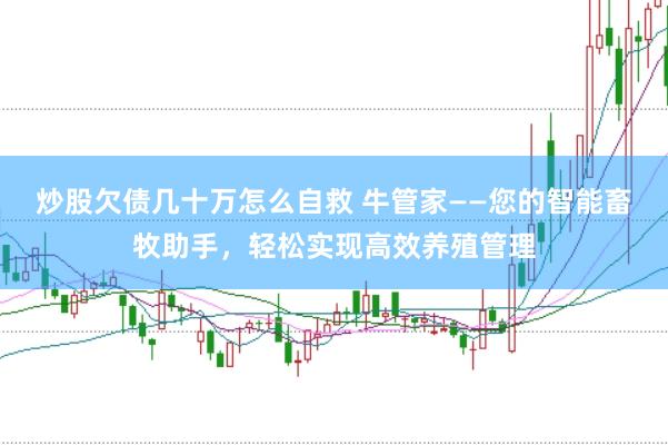 炒股欠债几十万怎么自救 牛管家——您的智能畜牧助手，轻松实现高效养殖管理