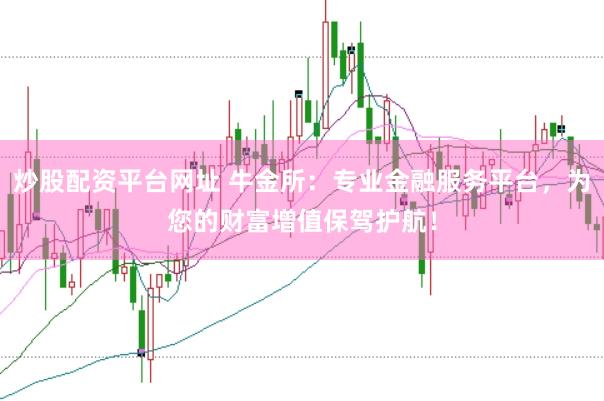 炒股配资平台网址 牛金所：专业金融服务平台，为您的财富增值保驾护航！