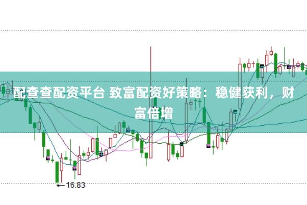 配查查配资平台 致富配资好策略：稳健获利，财富倍增