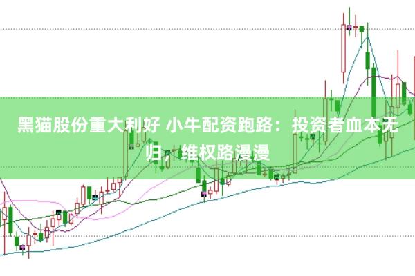黑猫股份重大利好 小牛配资跑路：投资者血本无归，维权路漫漫