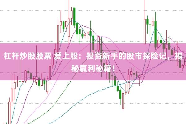 杠杆炒股股票 爱上股：投资新手的股市探险记，揭秘赢利秘籍！