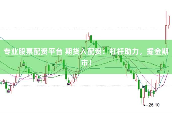 专业股票配资平台 期货入配资：杠杆助力，掘金期市！