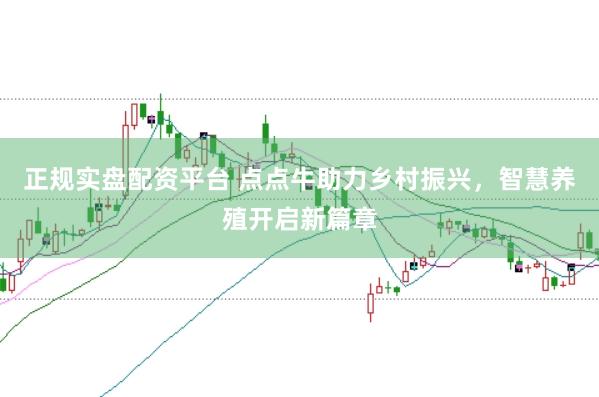 正规实盘配资平台 点点牛助力乡村振兴，智慧养殖开启新篇章