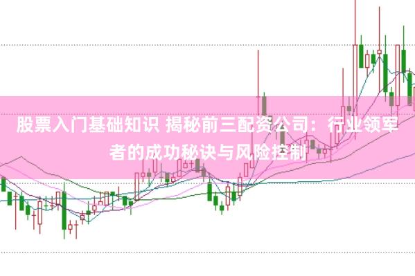 股票入门基础知识 揭秘前三配资公司：行业领军者的成功秘诀与风险控制