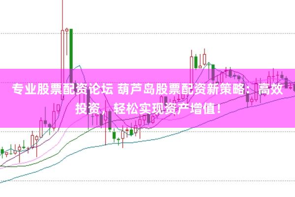 专业股票配资论坛 葫芦岛股票配资新策略：高效投资，轻松实现资产增值！