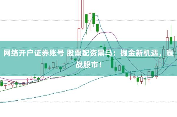 网络开户证券账号 股票配资黑马：掘金新机遇，赢战股市！