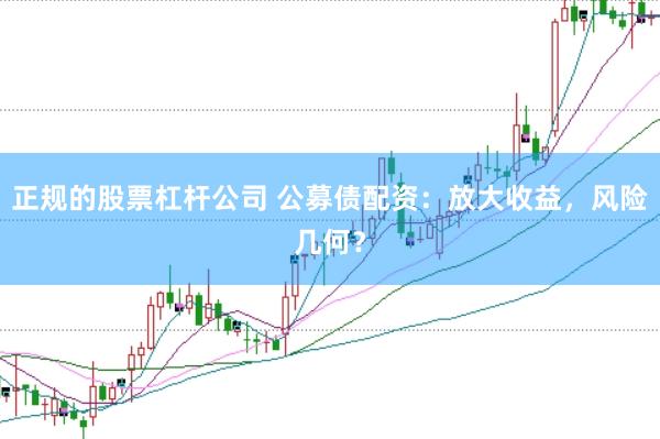 正规的股票杠杆公司 公募债配资：放大收益，风险几何？