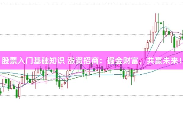 股票入门基础知识 涨资招商：掘金财富，共赢未来！
