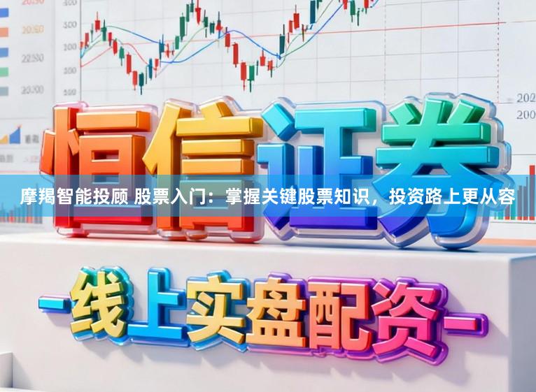 摩羯智能投顾 股票入门：掌握关键股票知识，投资路上更从容